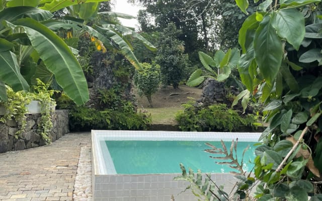 Foozoo Mantra - Weligama - Une maison centenaire avec piscine