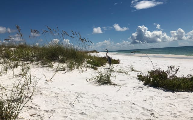 Beach Time Zone