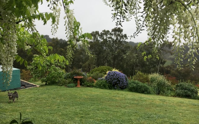 Wyndbourne Park, Adelaide Hills Tranquillité, proximité des vignobles - Photo 11