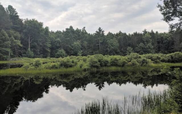 Maison de 3 chambres au bord de l'eau sur 50 acres privés