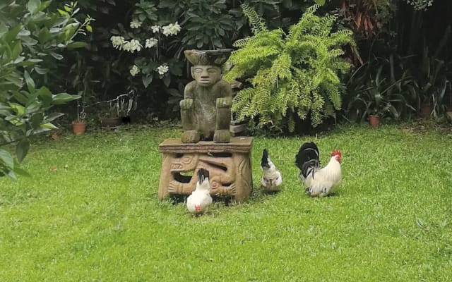 Camera accogliente in una proprietà molto privata - Foto 17
