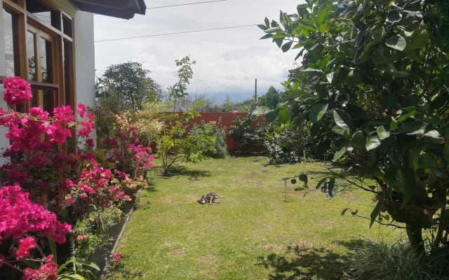 Camera accogliente in una proprietà molto privata - Foto 18