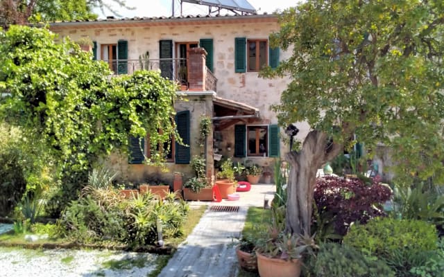 La Suite delle Franche