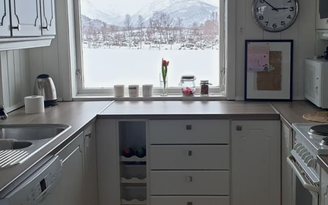 Vakre Kjerringøy
