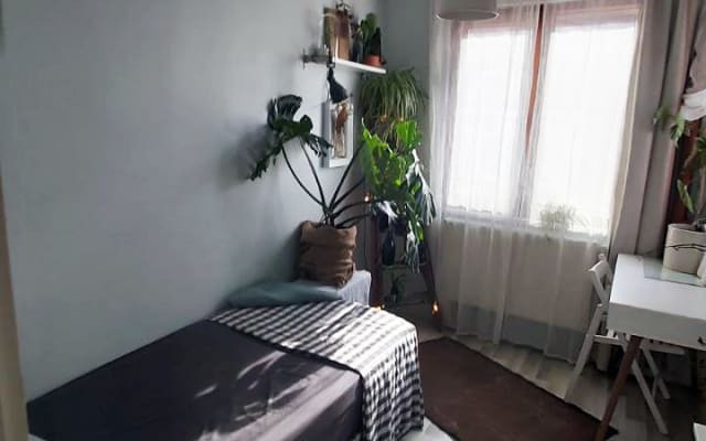 OmerHayyam-soltero - Foto 13
