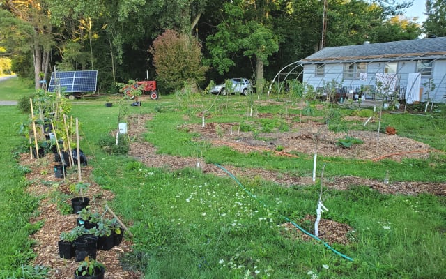 The Homestead