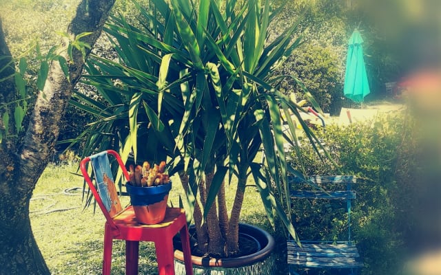 Wohnung, Garten Zwischen Luberon und Ventoux