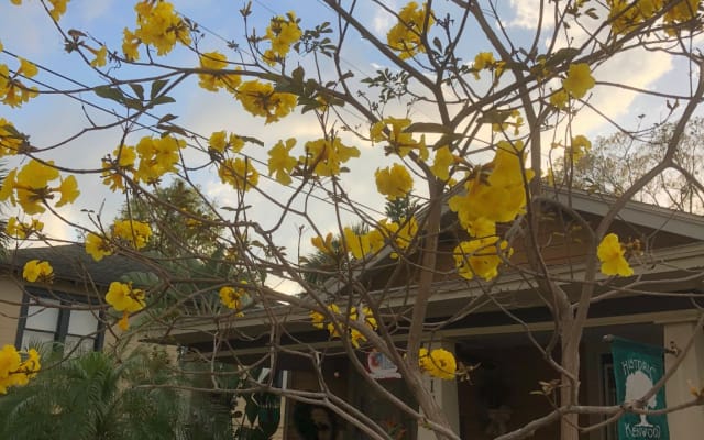 Bungalow histórico con un toque artístico