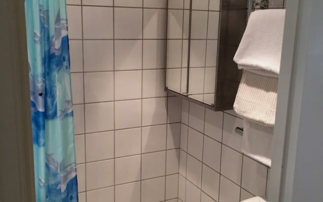 Großes Junior-Apartment mit 1 Schlafzimmer