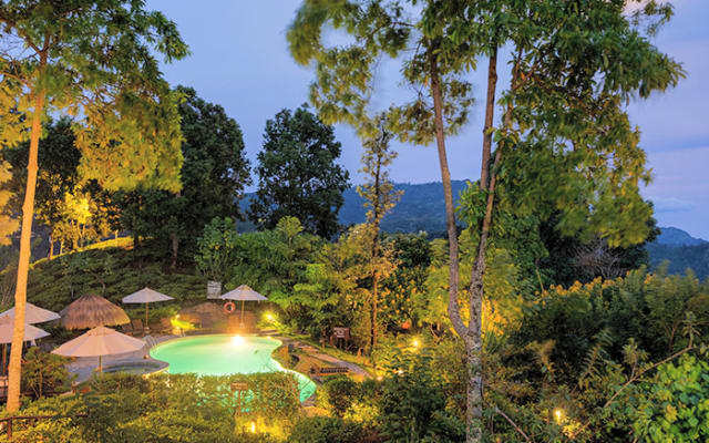 98 Acre Resort - Photo 14