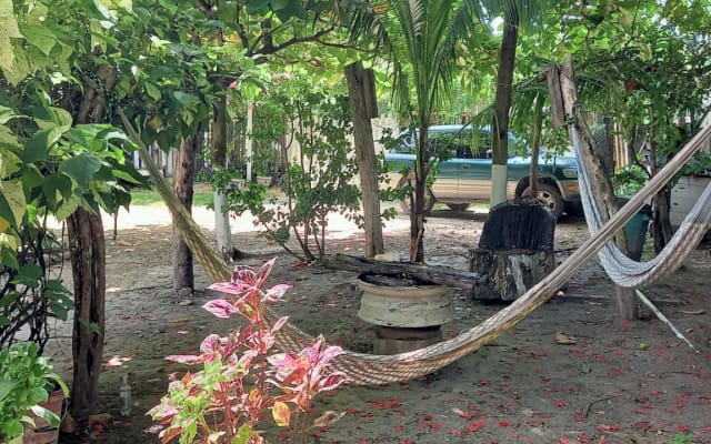 Casa Ricky's - Photo 5