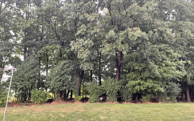 Private home in a quiet 65 home subdivision