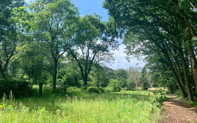 Intimer Bungalow, mitten im Grünen - Foto 19