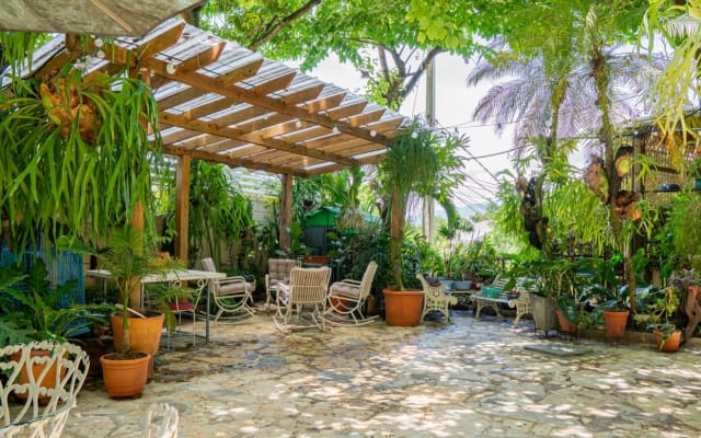 2nd floor Garden View - La Trinitaria City Center