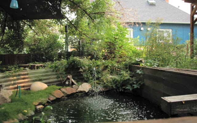 Mulberry Cottage Urban Oasis in Lower Highlands - Picture 17