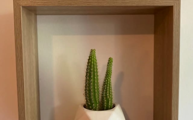 Cocoon room with SPA and garden in city center