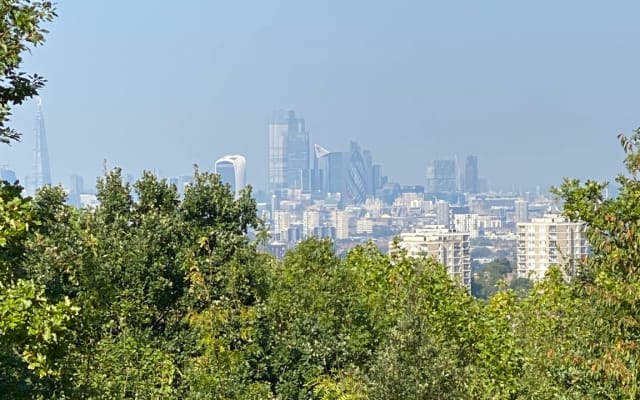 Quarto duplo no frondoso SE de Londres com óptimas ligações de...