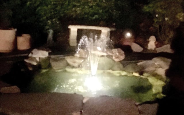 David's listing on misterb&b - Pond with fountain in the backyard