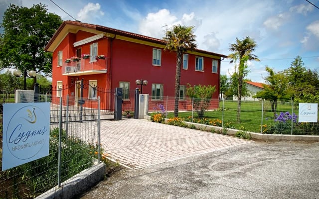 Cygnus b&b