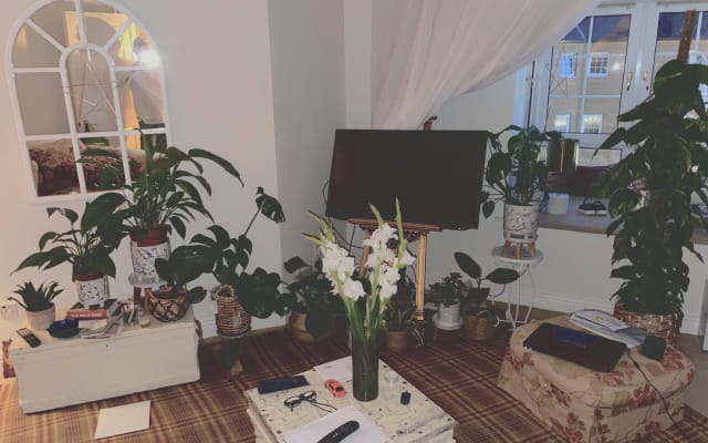 Looking for professional guys one or two nights per week