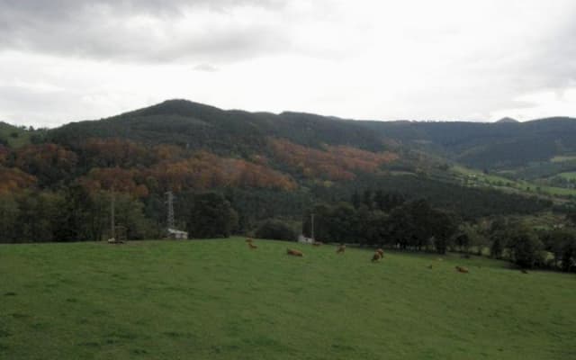 Holly: Entspannungsraum in der Natur mit privater Terrasse