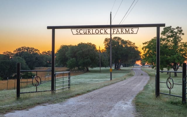 Farm Stay 172 Acre - G'twn Square 12 Minutes Riverside, Tiere...