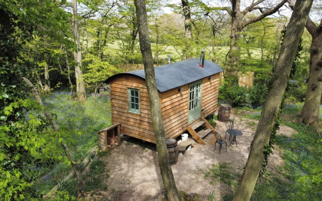 Cabane de bergers Bluebell