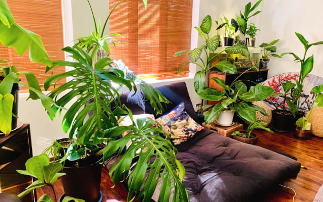 Room In Fully Furnished 3 bedroom, 2 bathroom apartment with Sauna - Picture 15