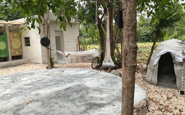 Fuga dalla fauna selvatica nel cuore della giungla