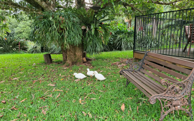 Nut Kingdom se trouve dans l'arrière-pays de Byron Bay.