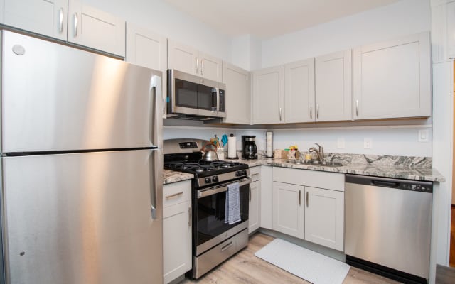 Sun-filled Newly Renovated 1Bed, MBTA