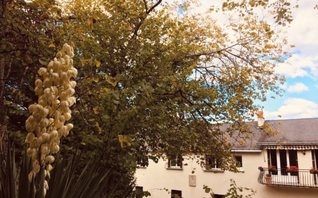Chambres d'hôtes à l'orée d'un village pittoresque