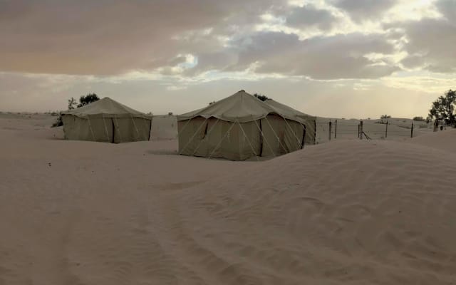 Traumnächte an den Dünen