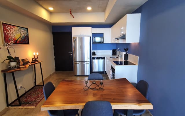 URBN-21: Digital nomad apartment in gay friendly Barrio Escalante