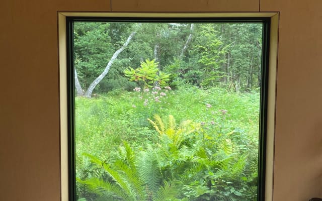 Hütte im Wald