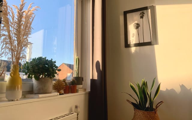 One bedroom Flat in zone 1/2 London