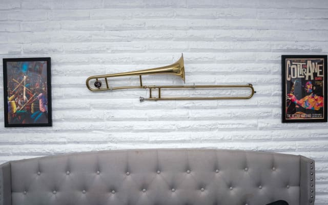 Retreat to the Serene Music Room near NRG, Med Ctr & Dwtn - Picture 6