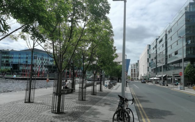 City centre single bed in shared room