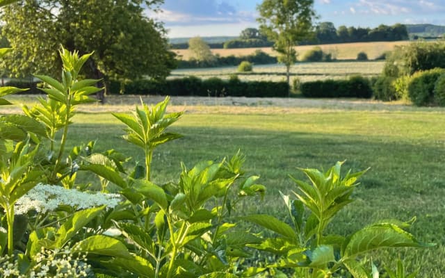 Escape to a charming house in the heart of Perche - Picture 17