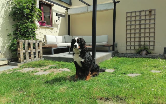 Casa Jochem - Photo 7