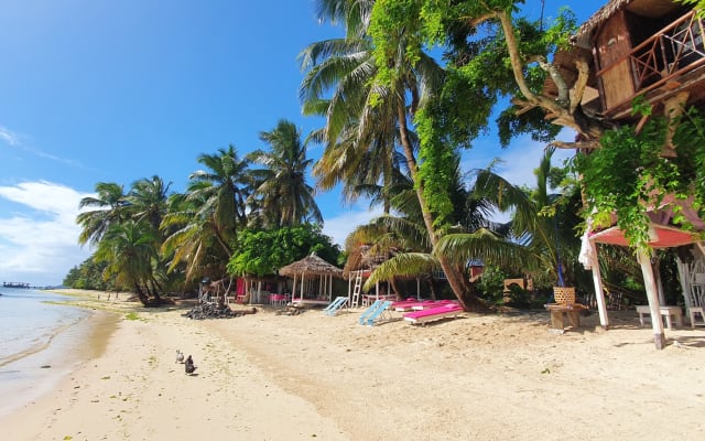 Cabane dans les arbres sur plage vue piscine, avec petit dejeuner