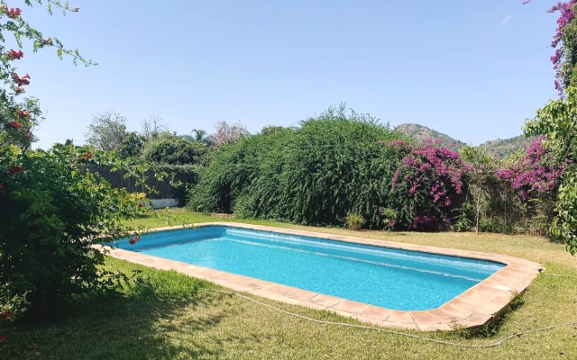 Moradia tranquila com piscina rodeada de laranjeiras