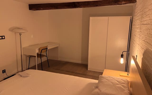 100% naturist room 1 of 4 in duplex loft in city center - Picture 9