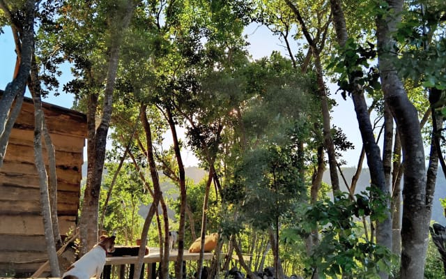 Baita rustica su una piccola montagna di sassi, vista stupenda
