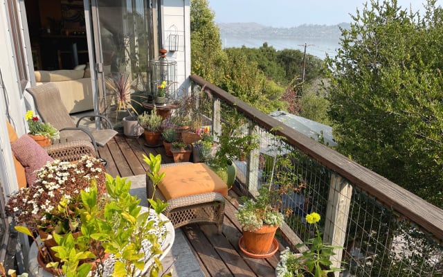 Nackte Oase "Treehouse" mit Whirlpool - Foto 10