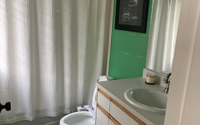 Private Room in Capitol Hill (Gay District) - Excellent Location - Picture 7