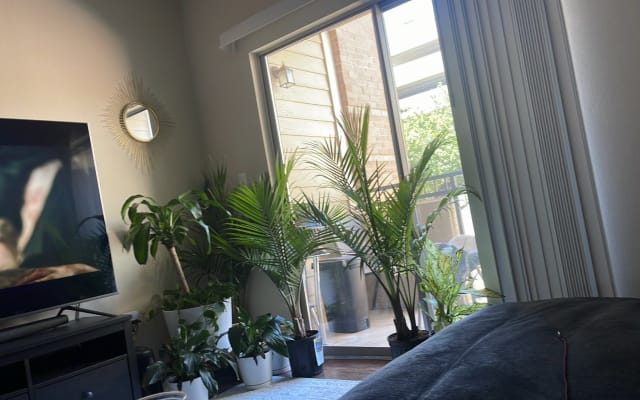 Comfort and convenience in in Dallas Location