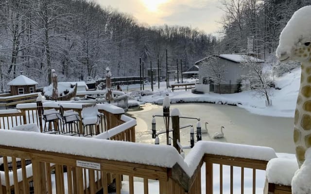 The Suite at Union Ridge Wildlife Center