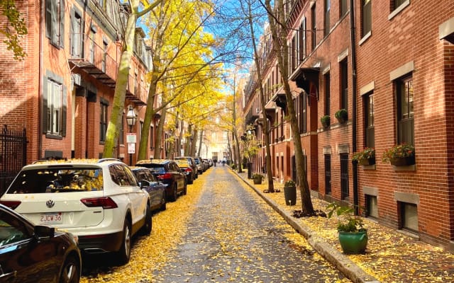 *ALL NEW* 3 BR South End Duplex WITH CENTRAL A/C Steps to downtown! - Picture 19