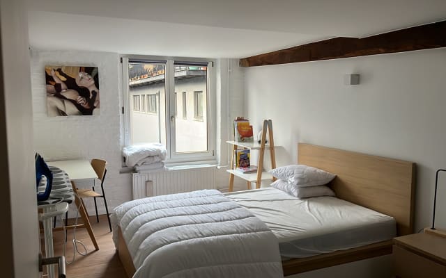 100% naturist ch3 of 4 in loft BXL- center - Picture 10